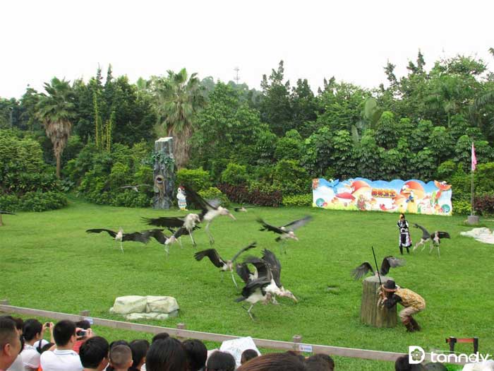 Xiangjiang Safari Park