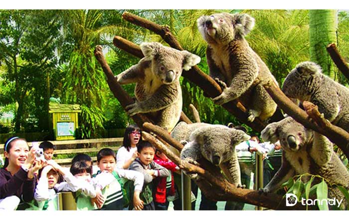 Xiangjiang Safari Park