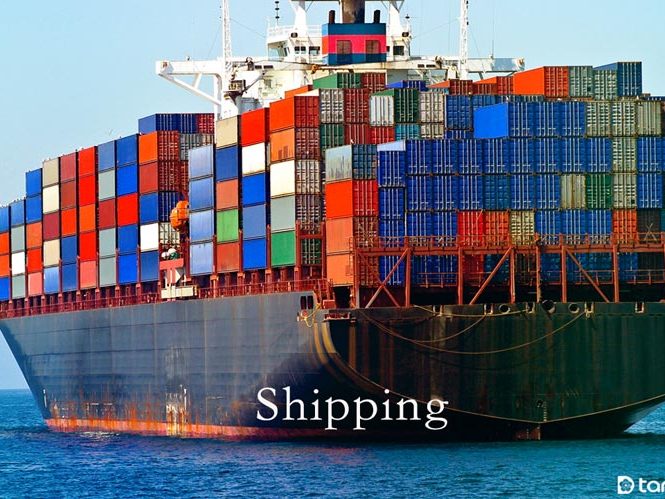 tanndy-shipping tanndy-shipping