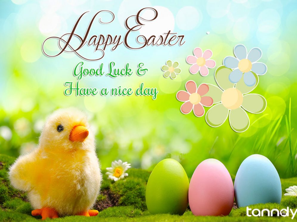 Tanndy-wish-you-a-Happy-Easter Tanndy-wish-you-a-Happy-Easter