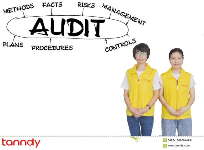 tanndy-ltd-supplier-audit