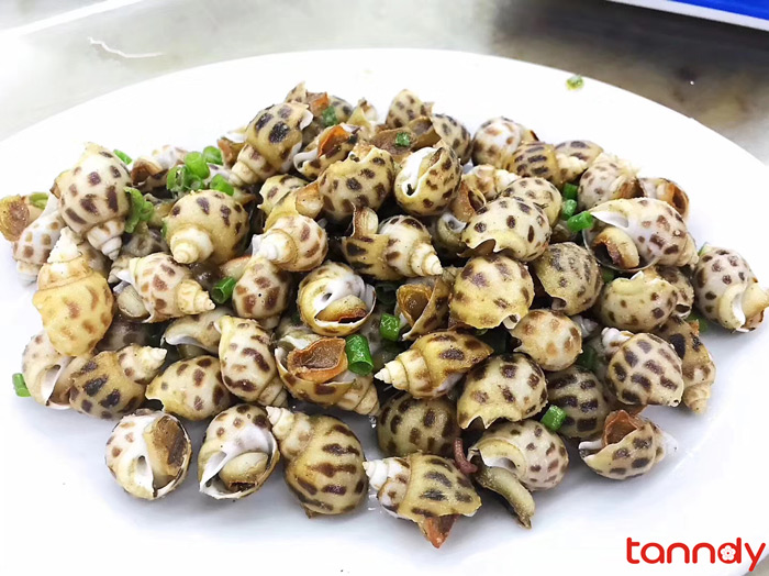 Fried Sea Snail