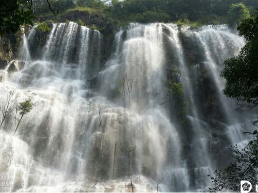 QianLongGou-cataract