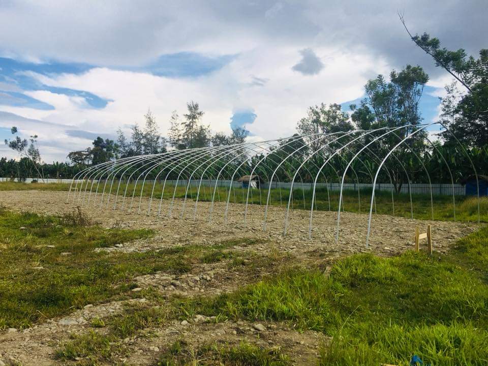 Green house for agricultural planting