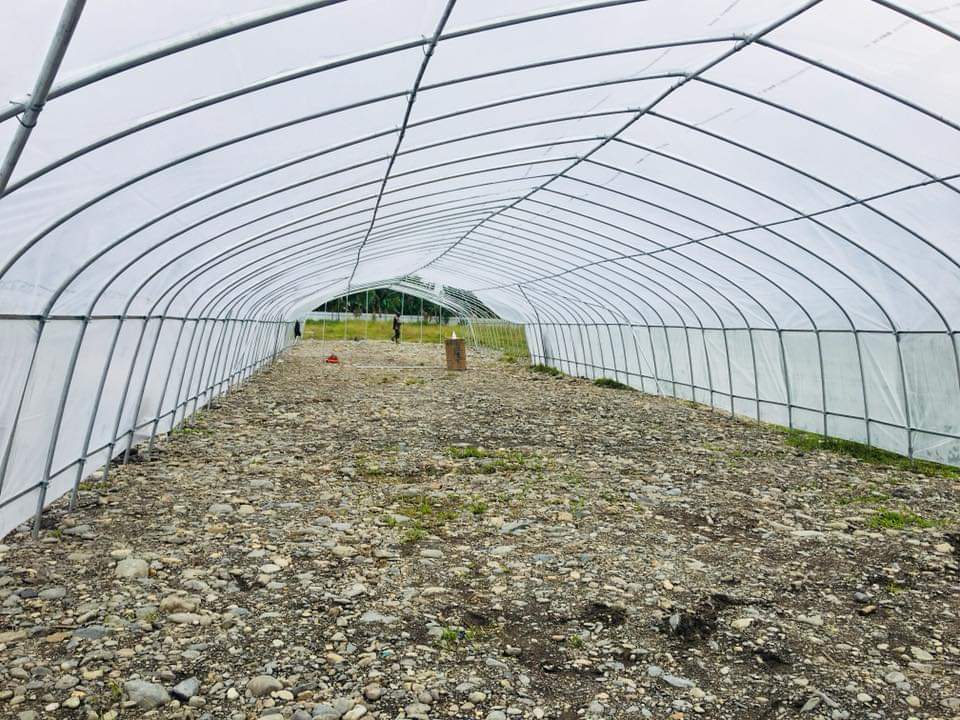 Green house for agricultural planting