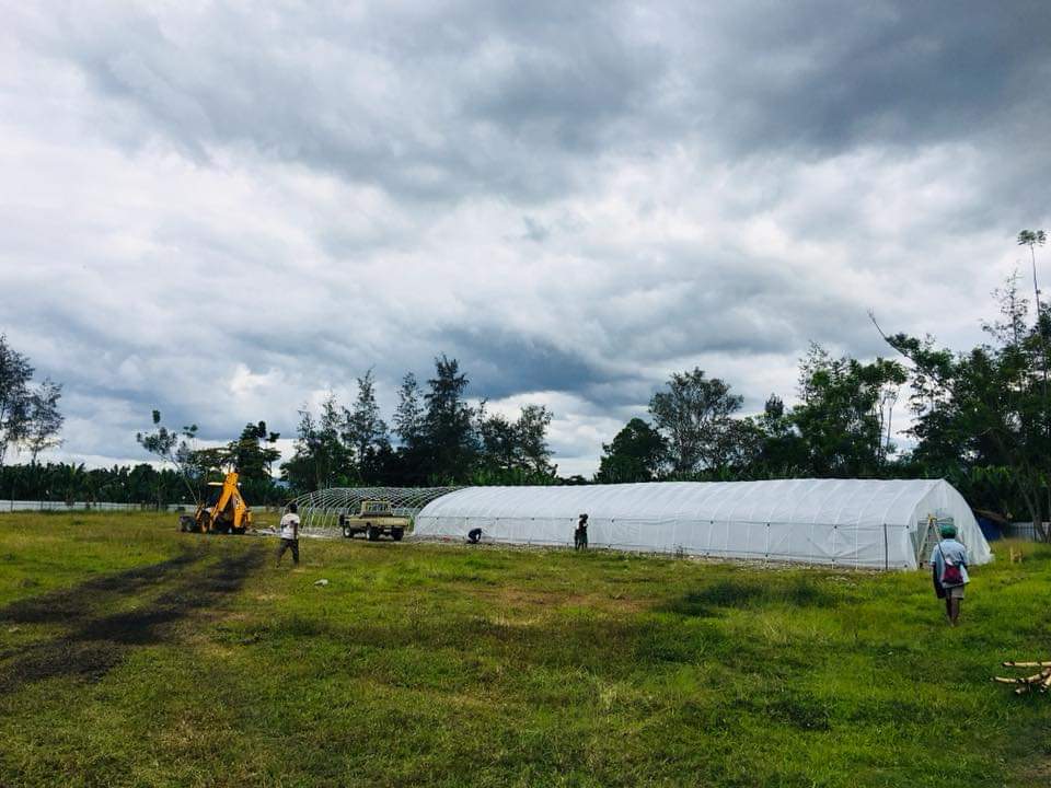 Green house for agricultural planting