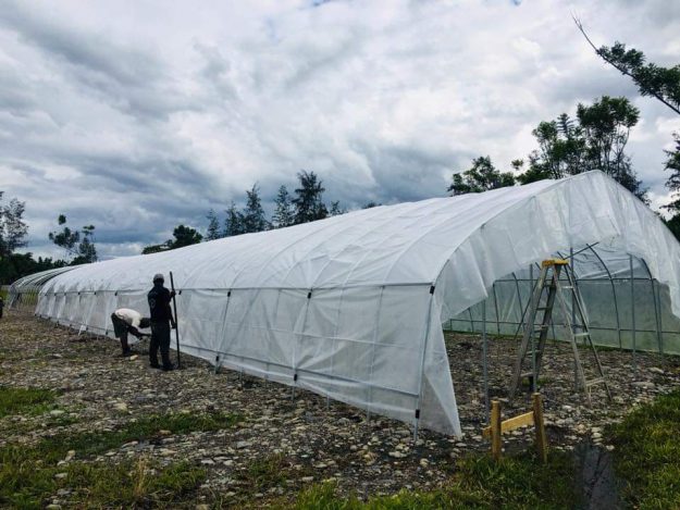 Green house for agricultural planting