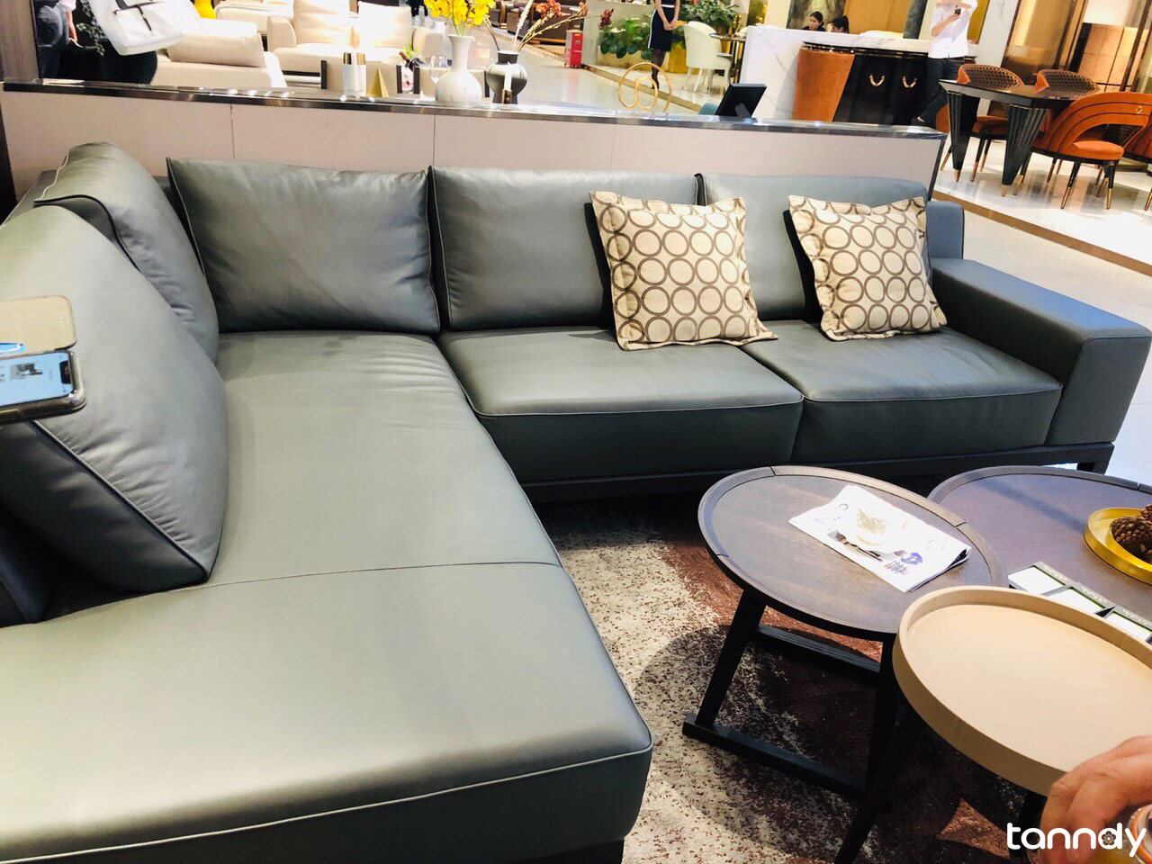 Brown green leather sofa in Foshan furniture market