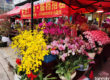 Guangzhou-Spring-Festival-Flower-Fair