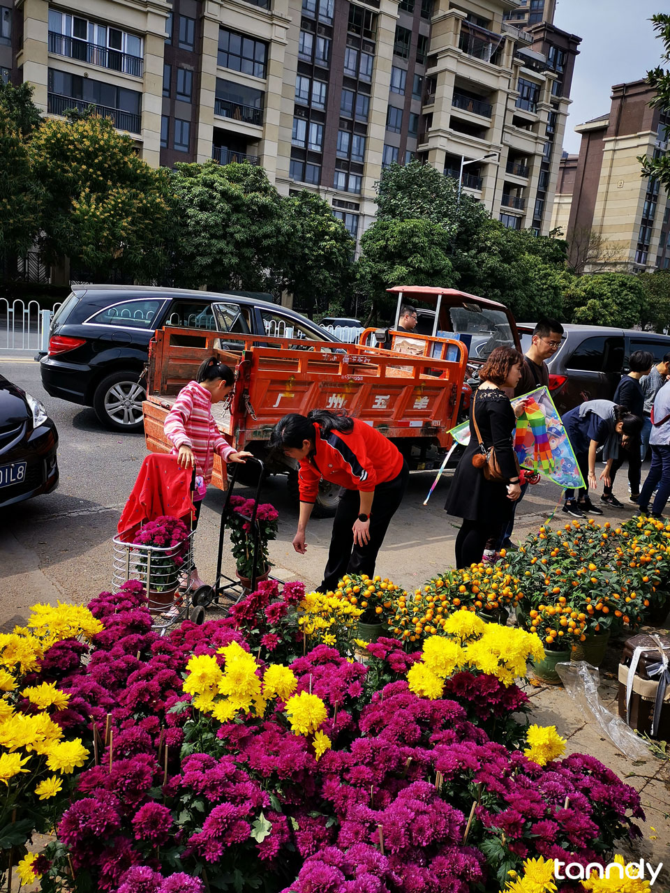 People-are-buying-flowers-at-the-fair